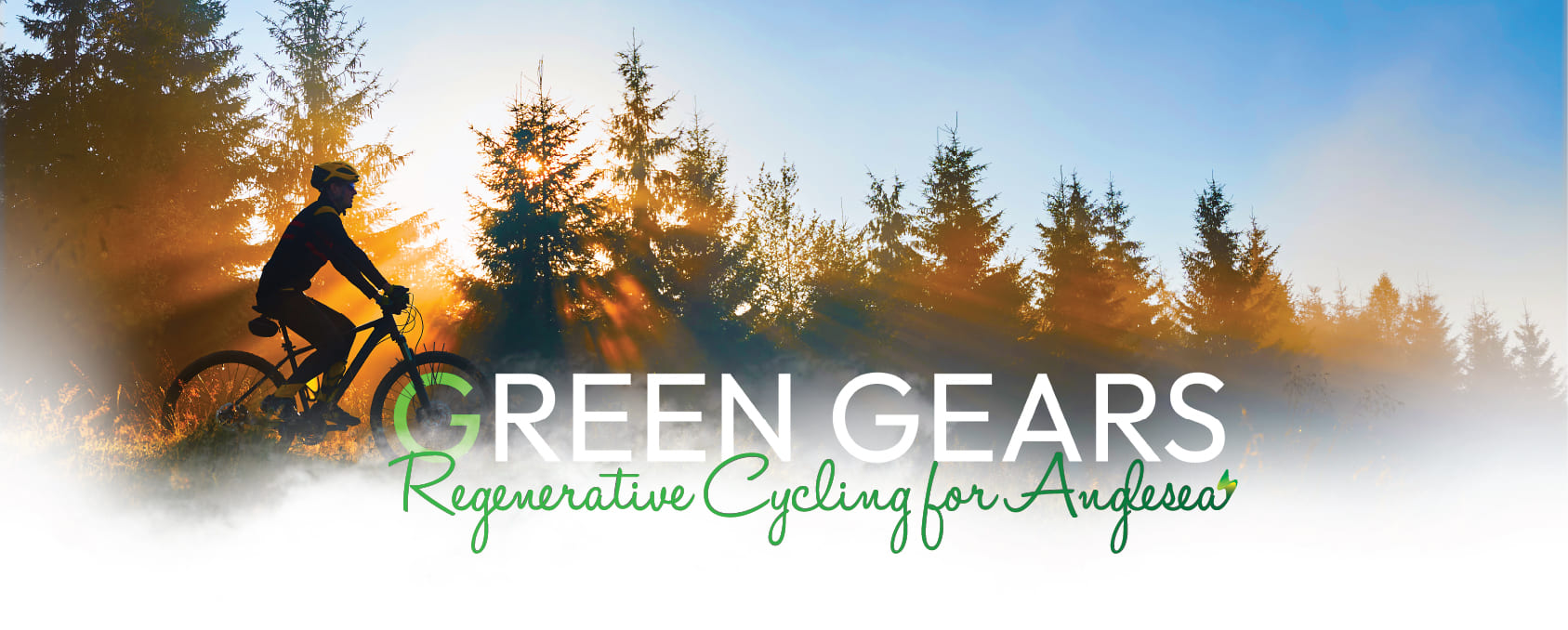 Pedal & Power Regenerative Cycling for Anglesea-03 (1)webm